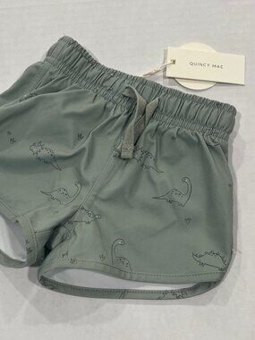 Quincy Mae Boys Dino Print Swim Trunks in Sage Green